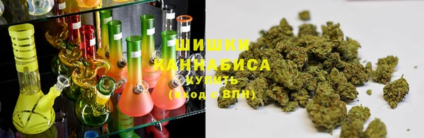 бошки Аркадак