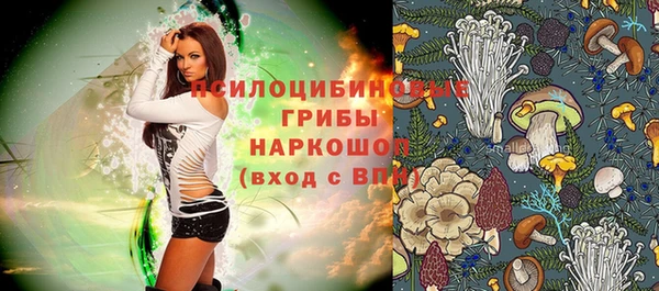 первитин Армянск