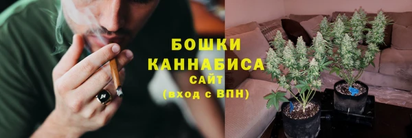 бошки Арсеньев