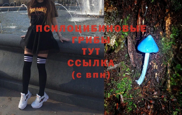 бошки Аркадак