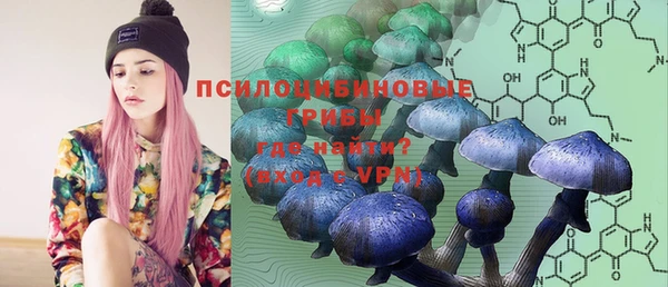 первитин Армянск
