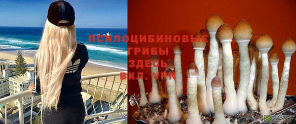 бошки Аркадак